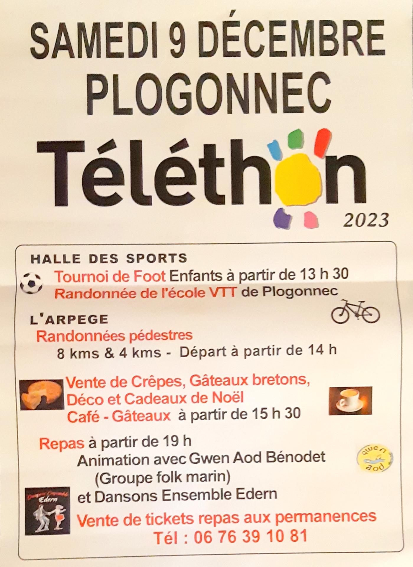 Affiche plogo telethon