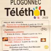 Affiche plogo telethon