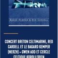 Celtimarine 2022 affiche